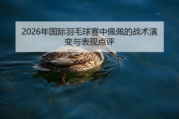 2026年国际羽毛球赛中佩佩的战术演变与表现点评