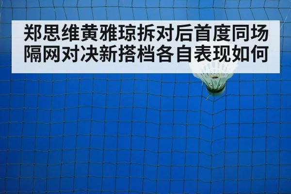 badminton net shot