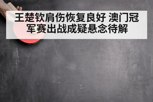 王楚钦肩伤恢复良好 澳门冠军赛出战成疑悬念待解
