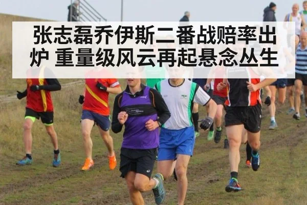 张志磊乔伊斯二番战赔率出炉 重量级风云再起悬念丛生